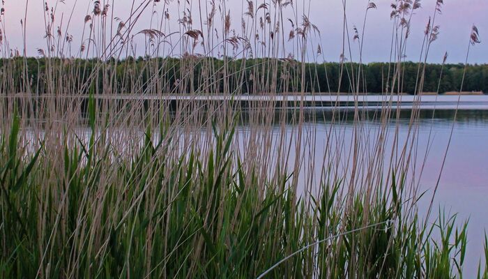Mecklenburg-Vorpommern - am See Mecklenburg-Vorpommern - am See
