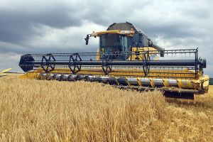 Landwirtschaftsbetrieb Gut Buchenhof - Kornernte im Herbst