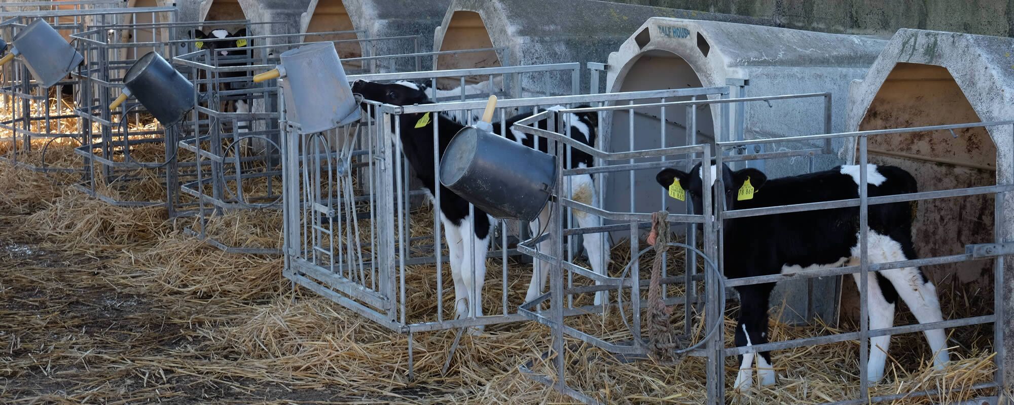 Landwirtschaftsbetrieb Frank Reumann