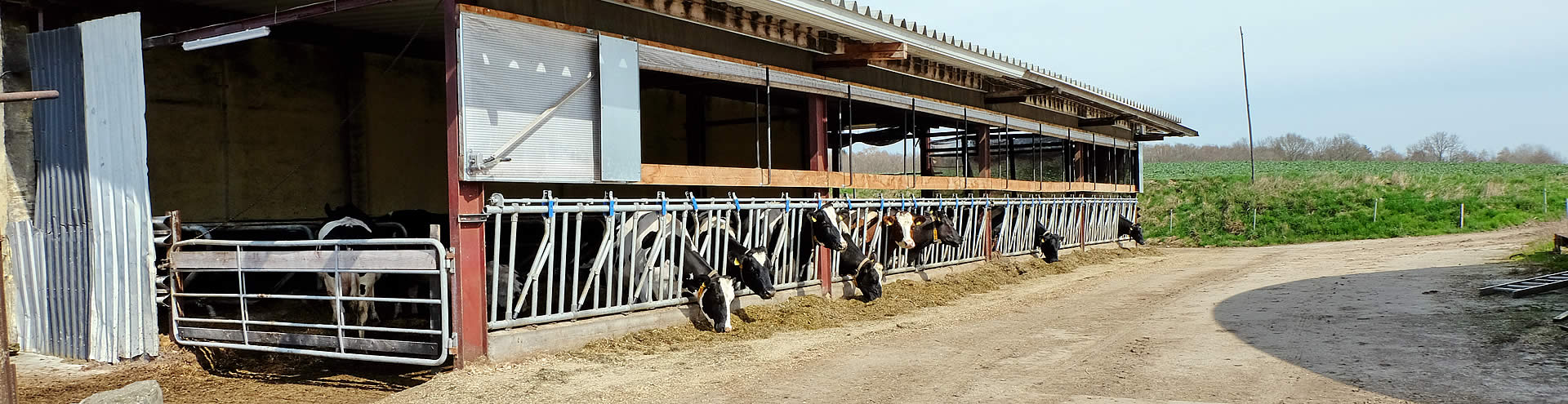 Landwirtschaftsbetrieb Gut Buchenhof