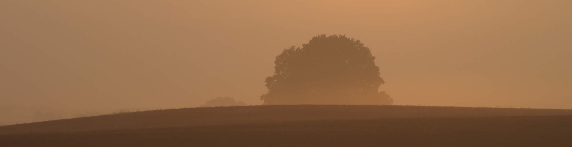 Landwirtschaftsbetrieb Gut Buchenhof