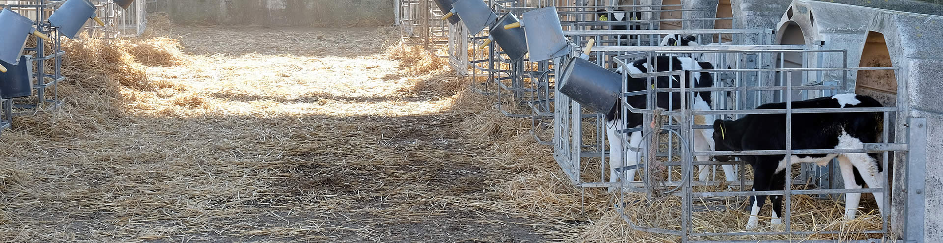 Landwirtschaftsbetrieb Gut Buchenhof